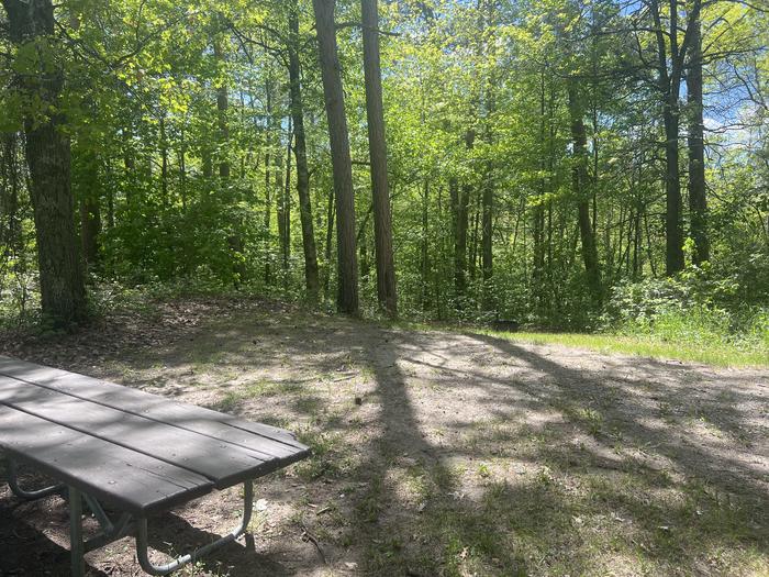 A photo of Site 003 of Loop WILLIAMS NARROWS  at WILLIAMS NARROWS with Picnic Table, Fire Pit