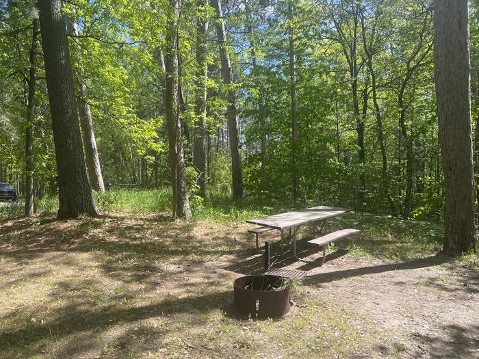 A photo of Site 005 of Loop WILLIAMS NARROWS  at WILLIAMS NARROWS with Picnic Table, Fire Pit