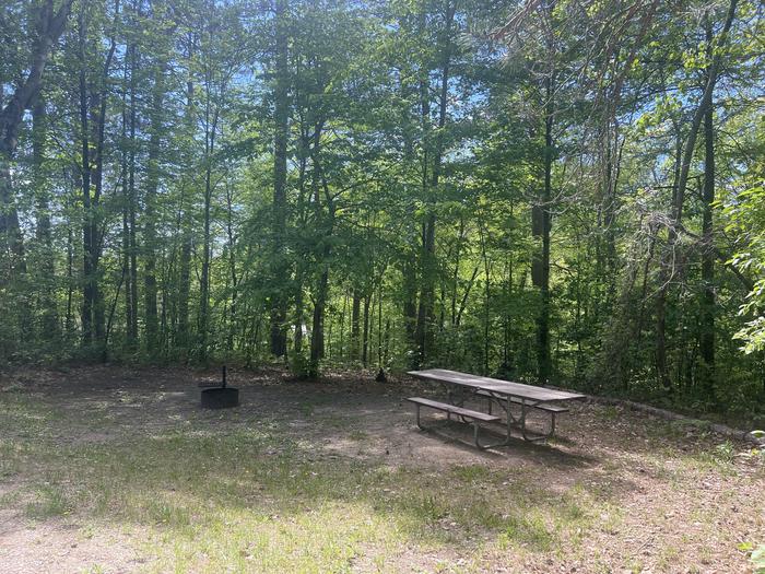 A photo of Site 002 of Loop WILLIAMS NARROWS  at WILLIAMS NARROWS with Picnic Table, Fire Pit, Shade