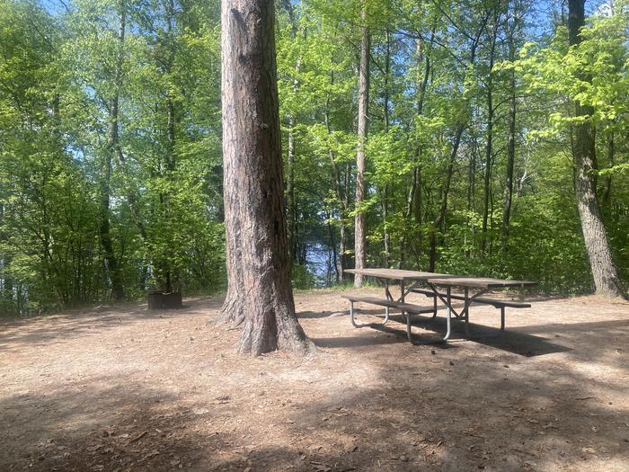 A photo of Site 011 of Loop WILLIAMS NARROWS  at WILLIAMS NARROWS with Picnic Table, Fire Pit