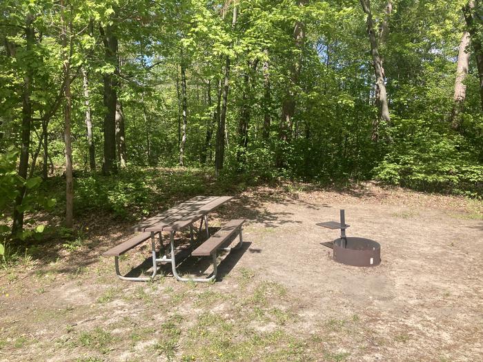A photo of Site 004 of Loop WILLIAMS NARROWS  at WILLIAMS NARROWS with Picnic Table, Fire Pit