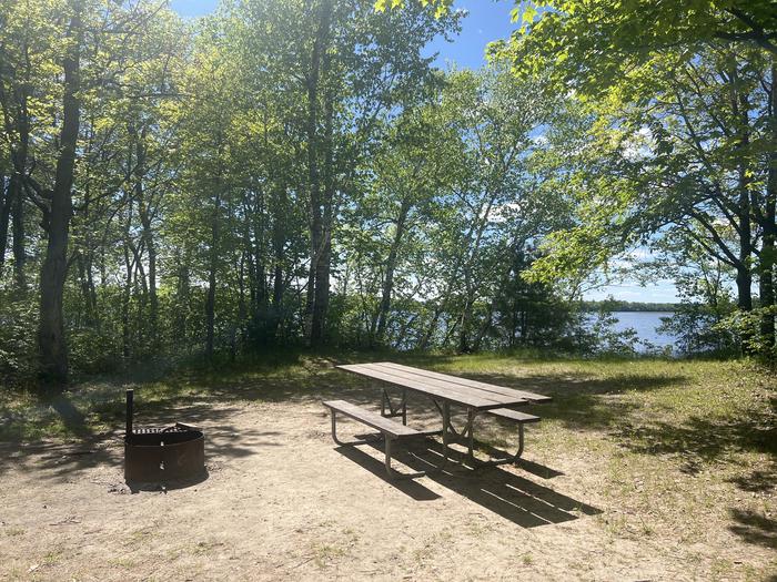 A photo of Site 015 of Loop WILLIAMS NARROWS  at WILLIAMS NARROWS with Picnic Table, Fire Pit, Shade, Waterfront