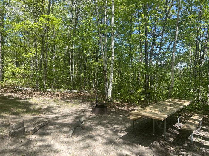 A photo of Site 017 of Loop WILLIAMS NARROWS  at WILLIAMS NARROWS with Picnic Table, Fire Pit, Shade