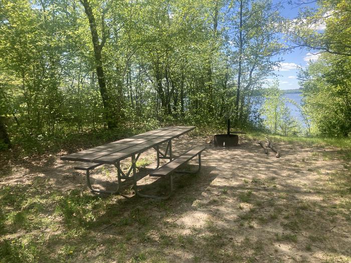 A photo of Site 014 of Loop WILLIAMS NARROWS  at WILLIAMS NARROWS with Picnic Table, Fire Pit