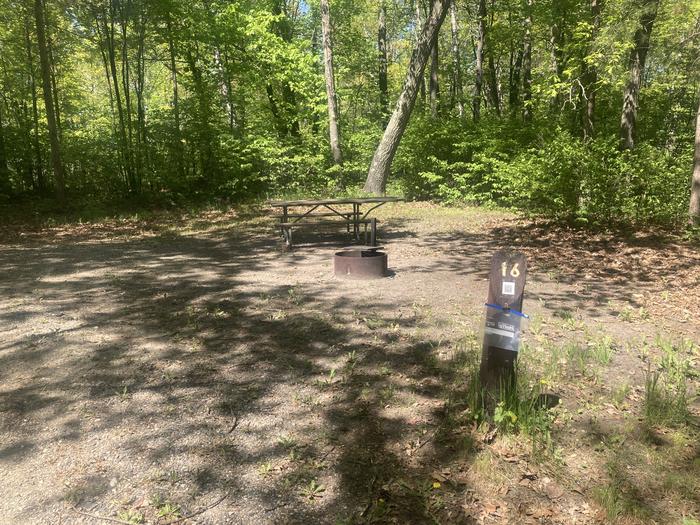 A photo of Site 016 of Loop WILLIAMS NARROWS  at WILLIAMS NARROWS with Picnic Table, Fire Pit