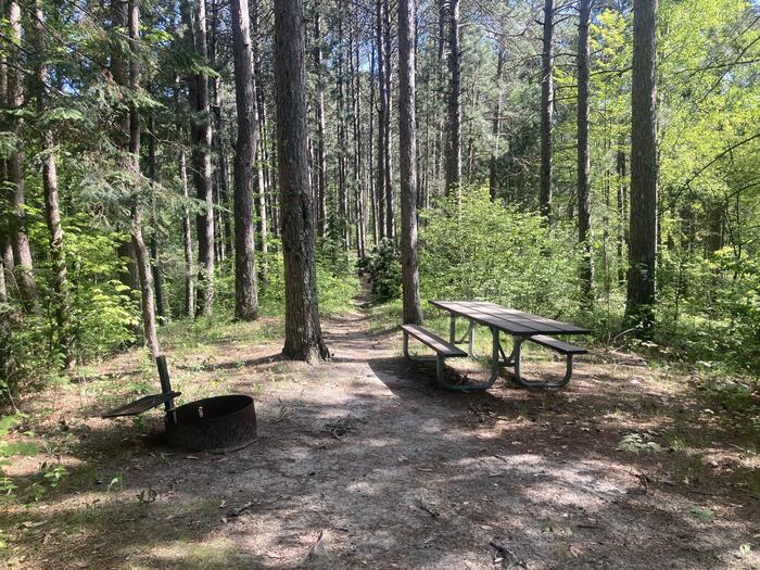 A photo of Site 003 of Loop SOUT at ONEGUME with Picnic Table, Fire Pit