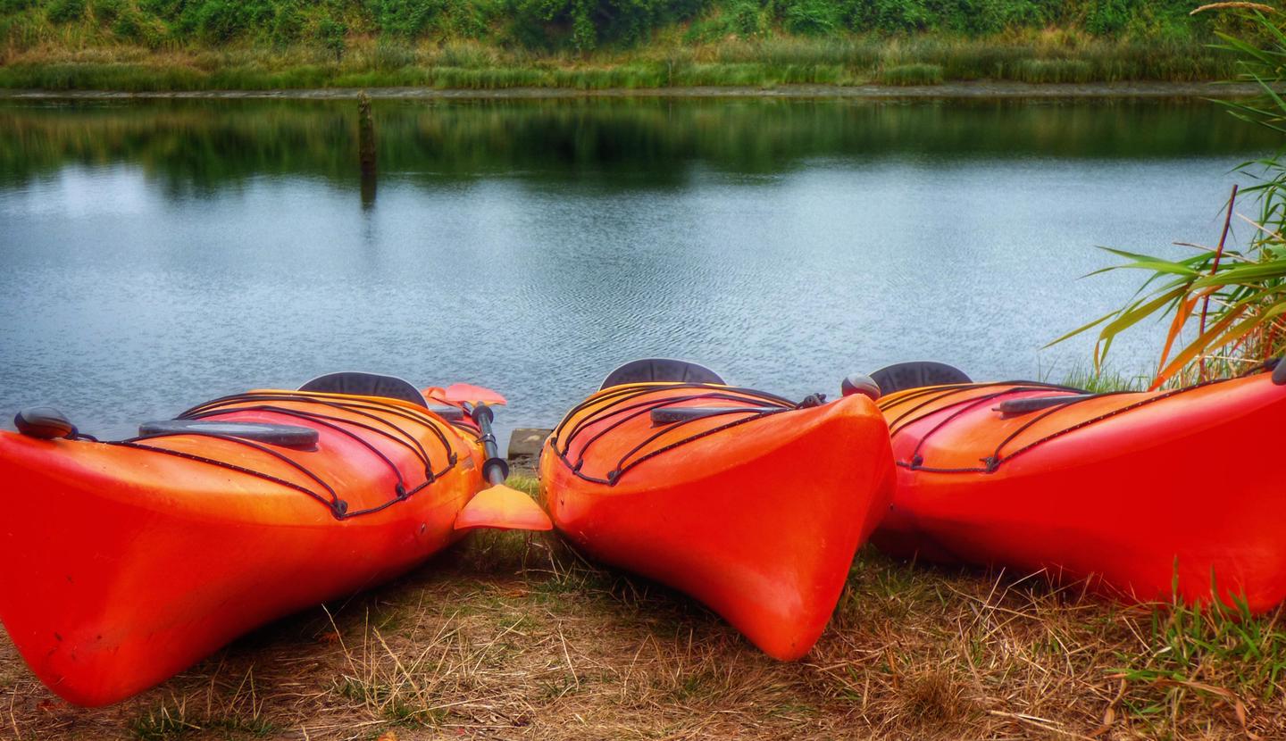 Three bright orange single kayaks on a river bank with the river and opposite bank in the background.Kayaks waiting to launch