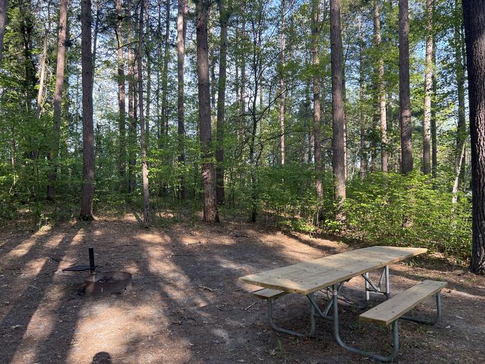 A photo of Site 01 of Loop MOSOMO POINT  at MOSOMO POINT with Picnic Table, Fire Pit