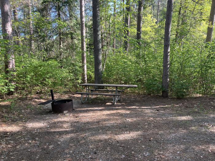 A photo of Site 02 of Loop MOSOMO POINT  at MOSOMO POINT with Picnic Table, Fire Pit