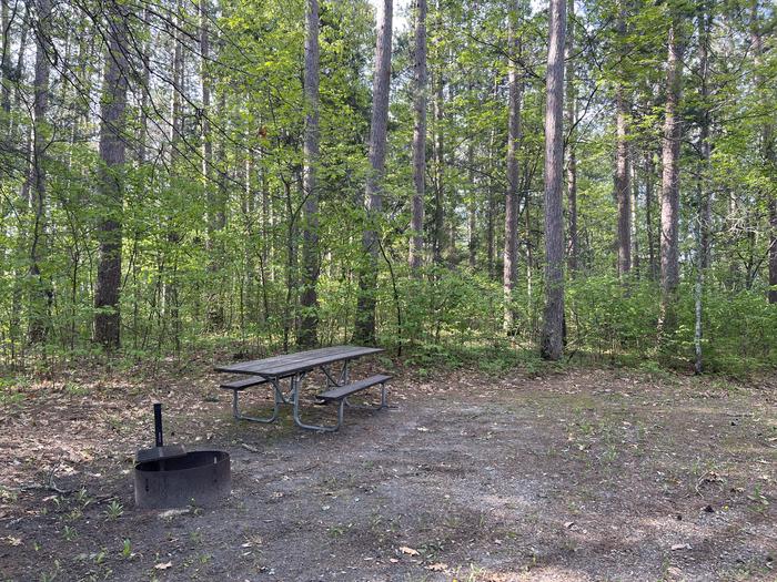 A photo of Site 22 of Loop MOSOMO POINT  at MOSOMO POINT with Picnic Table, Fire Pit, Shade