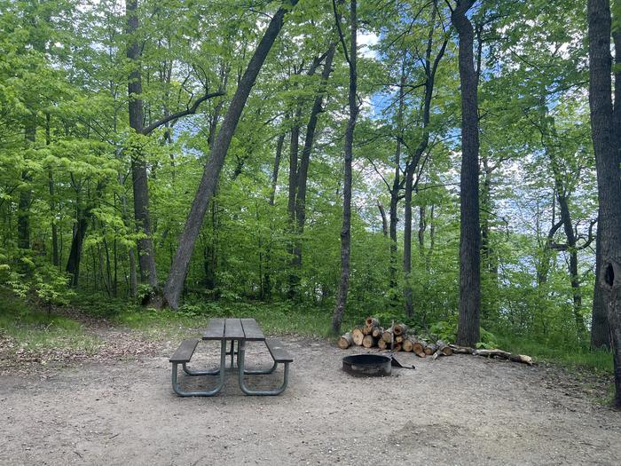 A photo of Site 002 of Loop NORTH at DEER LAKE with Picnic Table, Fire Pit, Shade, Waterfront