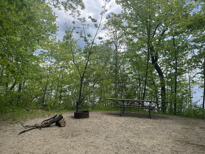 A photo of Site 004 of Loop NORTH at DEER LAKE with Picnic Table, Fire Pit, Shade