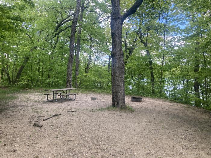 A photo of Site 001 of Loop NORTH at DEER LAKE with Picnic Table, Fire Pit