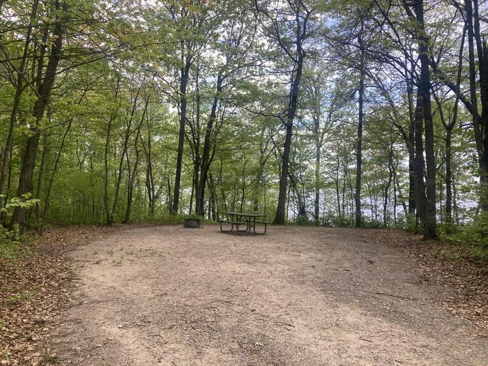 A photo of Site 009 of Loop NORTH at DEER LAKE with Picnic Table, Fire Pit, Shade, Waterfront