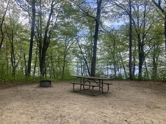 A photo of Site 009 of Loop NORTH at DEER LAKE with Picnic Table, Fire Pit, Waterfront