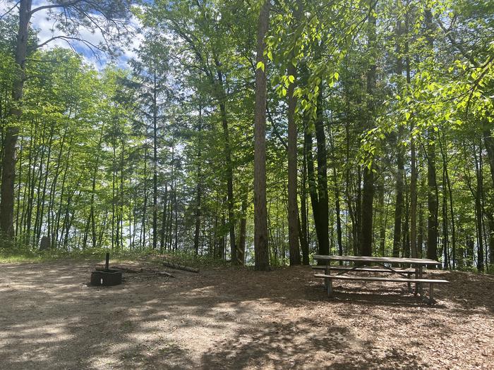 A photo of Site 012 of Loop MANAGEMENT SITES at DEER LAKE with Picnic Table, Fire Pit, Shade, Waterfront