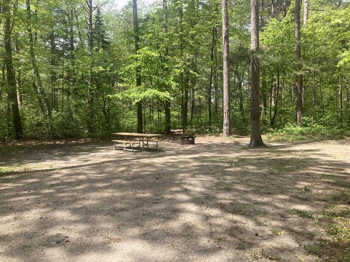 A photo of Site 013 of Loop MANAGEMENT SITES 1 at DEER LAKE with Picnic Table, Fire Pit