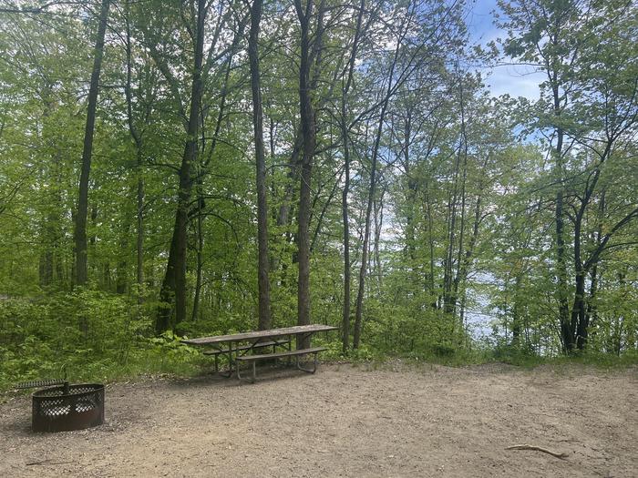 A photo of Site 008 of Loop NORTH at DEER LAKE with Picnic Table, Fire Pit, Shade, Waterfront