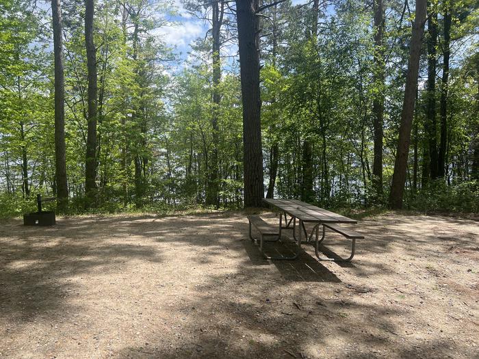 A photo of Site 015 of Loop NORTH at DEER LAKE with Picnic Table, Fire Pit, Shade, Waterfront