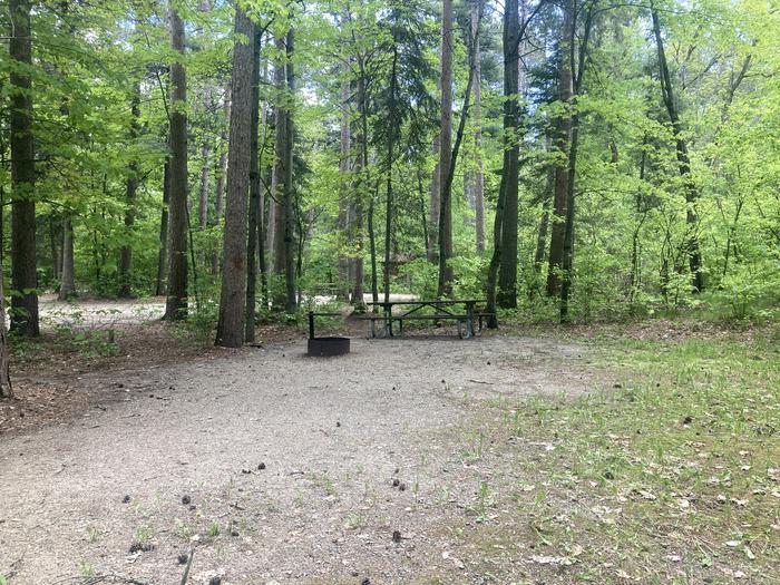 A photo of Site 031 of Loop MANAGEMENT SITES at DEER LAKE with Picnic Table, Fire Pit