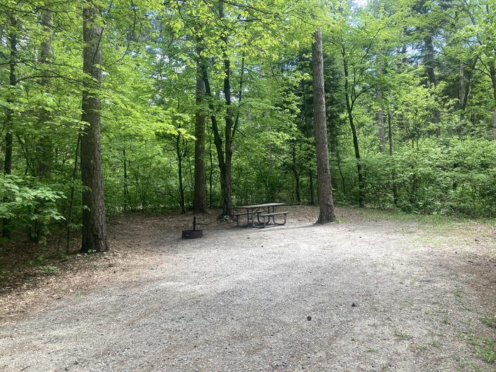 A photo of Site 027 of Loop MANAGEMENT SITES at DEER LAKE with Picnic Table, Fire Pit