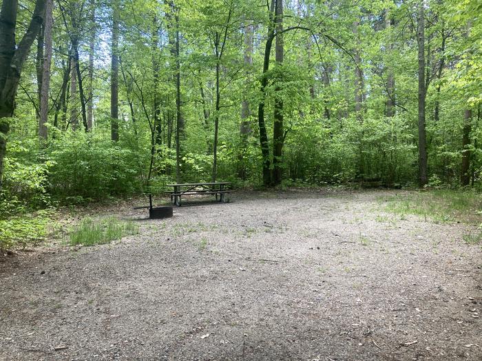 A photo of Site 020 of Loop SOUTH at DEER LAKE with Picnic Table, Fire Pit