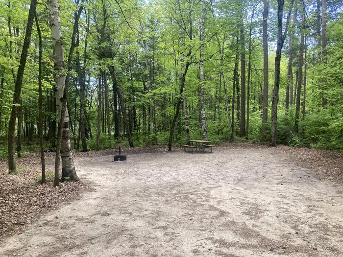 A photo of Site 022 of Loop SOUTH at DEER LAKE with Picnic Table, Fire Pit
