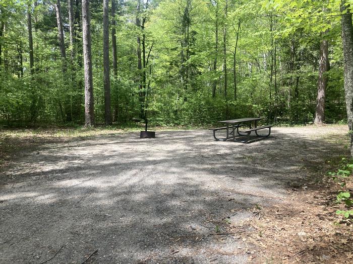 A photo of Site 011 of Loop MANAGEMENT SITES at DEER LAKE with Picnic Table, Fire Pit