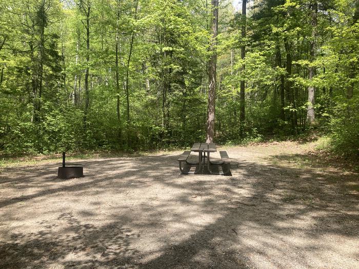 A photo of Site 011 of Loop MANAGEMENT SITES at DEER LAKE with Picnic Table, Fire Pit