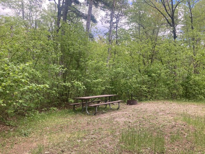 A photo of Site 019 of Loop MANAGEMENT SITES at DEER LAKE with Picnic Table, Fire Pit