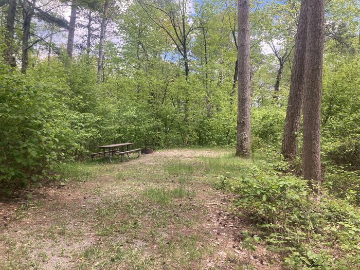 A photo of Site 019 of Loop MANAGEMENT SITES at DEER LAKE with Picnic Table, Fire Pit