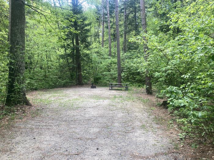 A photo of Site 023 of Loop SOUTH at DEER LAKE with Picnic Table, Fire Pit