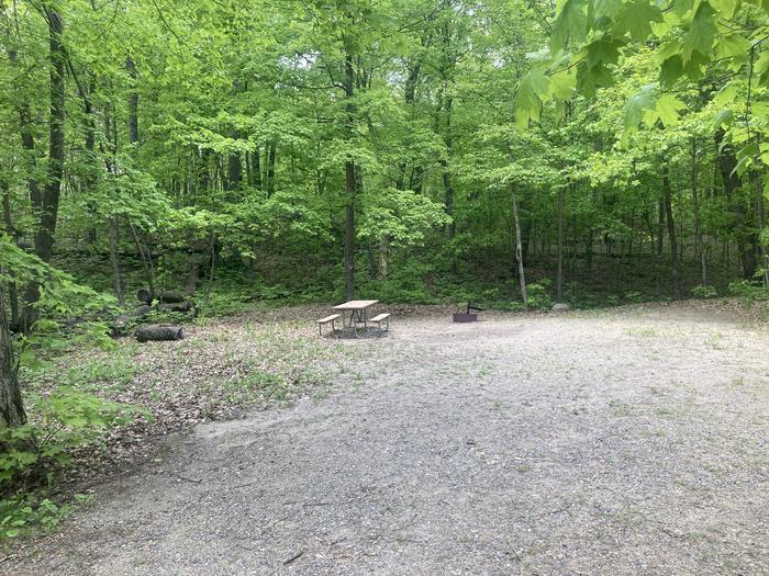 A photo of Site 003 of Loop NORTH at DEER LAKE with Picnic Table, Fire Pit