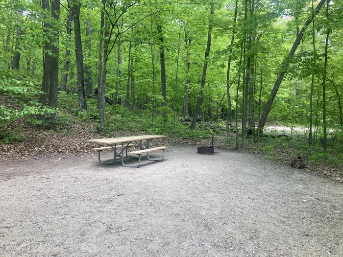 A photo of Site 005 of Loop NORTH at DEER LAKE with Picnic Table, Fire Pit