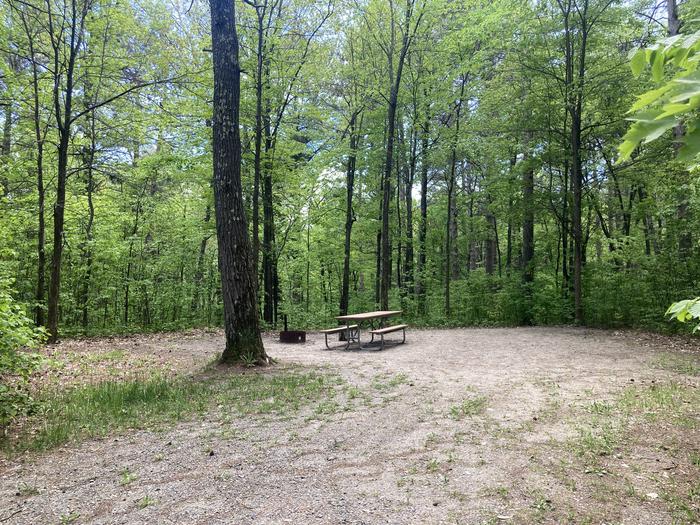 A photo of Site 008 of Loop SOUTH at DEER LAKE with Picnic Table, Fire Pit