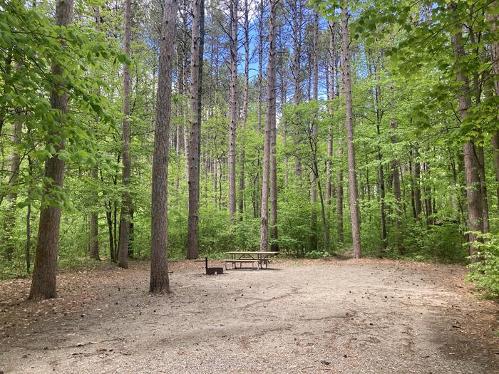 A photo of Site 007 of Loop SOUTH at DEER LAKE with Picnic Table, Fire Pit