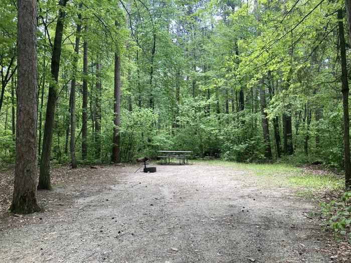 A photo of Site 005 of Loop SOUTH at DEER LAKE with Picnic Table, Fire Pit