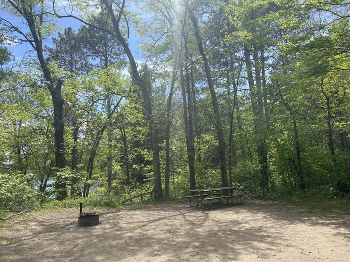 A photo of Site 012 of Loop MANAGEMENT SITES 1 at DEER LAKE with Picnic Table, Fire Pit, Shade, Waterfront