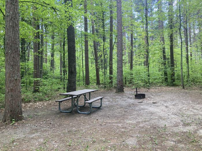 A photo of Site 001 of Loop SOUTH at DEER LAKE with Picnic Table, Fire Pit
