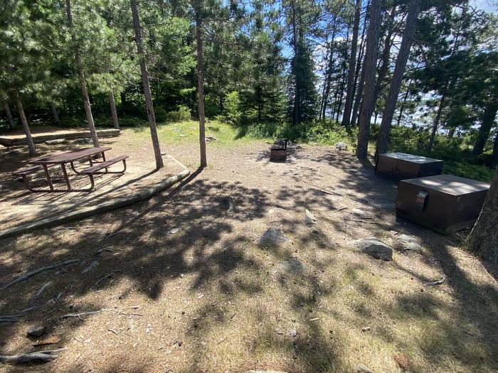 R22 - Saginaw Bay, view looking into the campsite with a picnic table to the left, fire ring in the center, and bear boxes to the right of the picture.View looking into the campsite