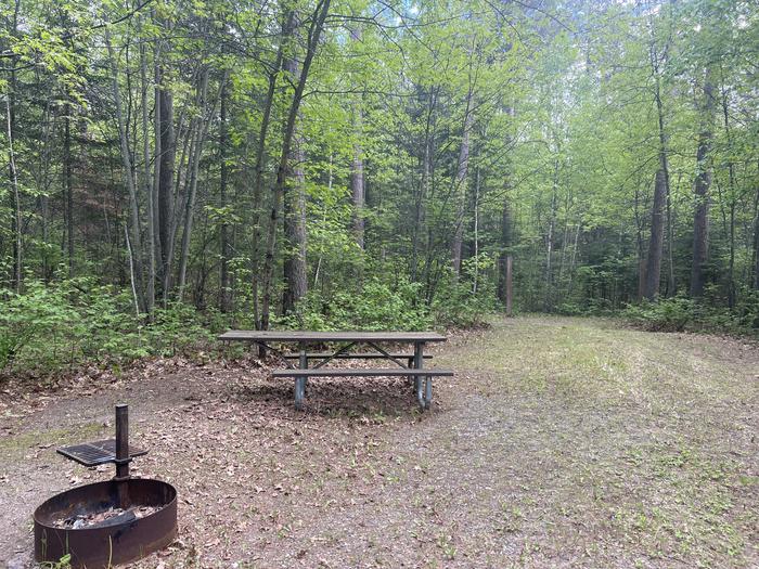 A photo of Site 007 of Loop CUT FOOT HORSE CAMPGROUND  at CUT FOOT HORSE CAMPGROUND with Picnic Table, Fire Pit, Shade