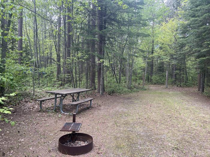 A photo of Site 003 of Loop CUT FOOT HORSE CAMPGROUND  at CUT FOOT HORSE CAMPGROUND with Picnic Table, Fire Pit, Shade