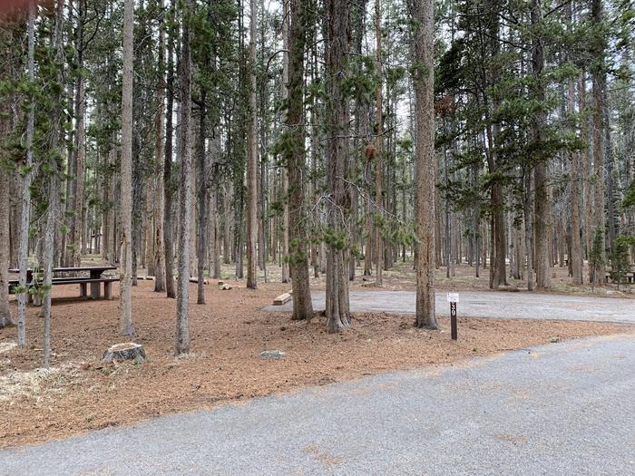 A photo of Site 039 of Loop B at PHILIPSBURG BAY CAMPGROUND with Picnic Table, Fire Pit, Shade
