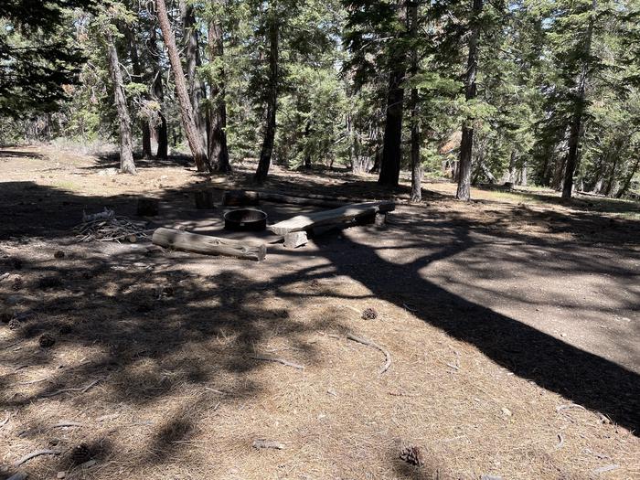 A photo of Site 003 of Loop AREA JACKSON FLAT at JACKSON FLATS with Fire Pit, Shade