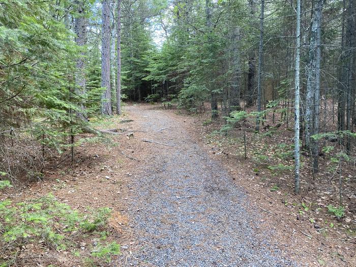 R63 - Loon Bay, gravel trail to campsite.Trail to campsite