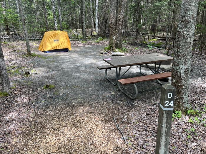 Site D24 with small tent