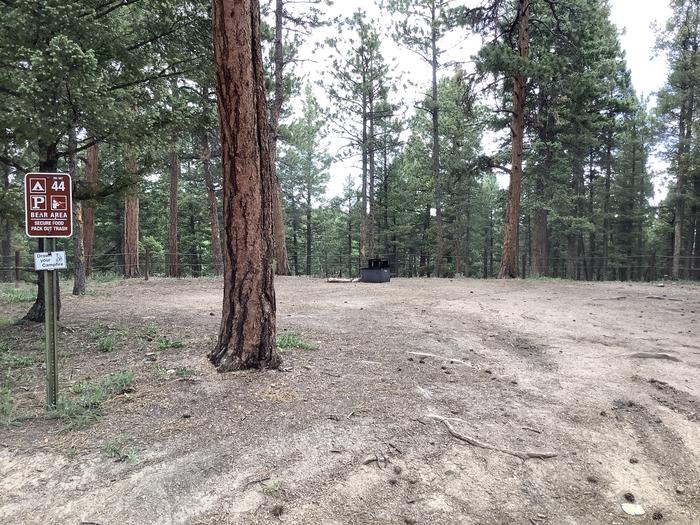 A photo of Site Site 44 (Rampart Range Road) of Loop NFSR 300 at Rampart Range Recreation Area Designated Dispersed Camping  with Fire Pit