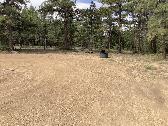 A photo of Site Site 96 (Dakan Road) of Loop NFSR 563 at Rampart Range Recreation Area Designated Dispersed Camping  with Fire Pit