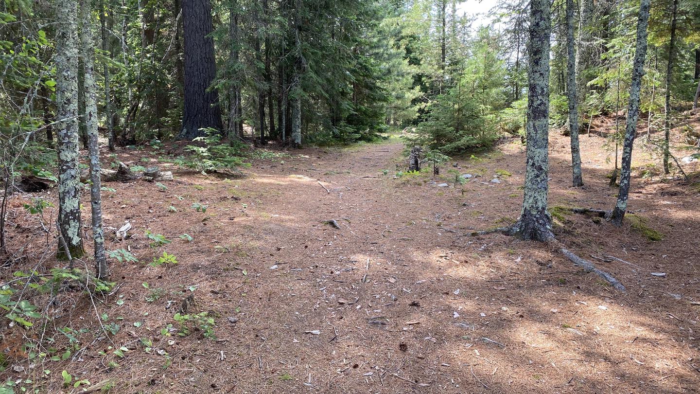 R72 - Rock Shelf, short trial through woods to campsite.Short trail to campsite
