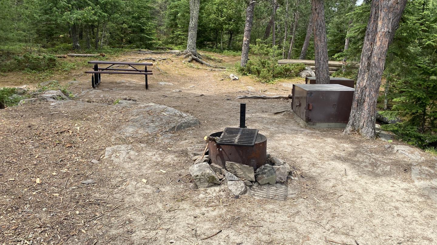 R73 - Dryweed Island North, view looking into campsite of fire ring, bear boxes, and picnic table.View of campsite